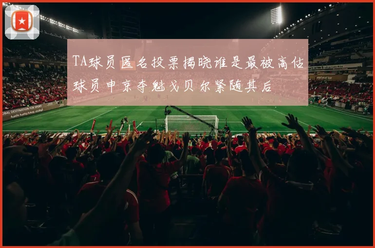 TA球员匿名投票揭晓谁是最被高估球员申京夺魁戈贝尔紧随其后