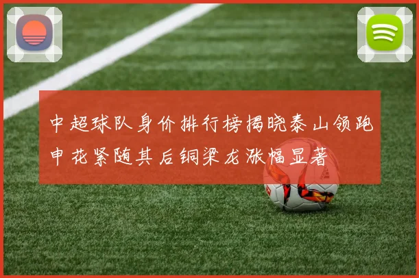 中超球队身价排行榜揭晓泰山领跑申花紧随其后铜梁龙涨幅显著