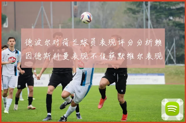 德波尔对荷兰球员表现评分分析赖因德斯科曼表现不佳萨默维尔表现出色